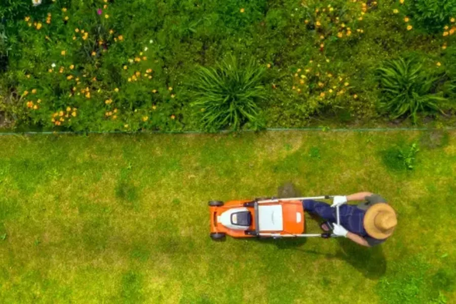 Affordable Lawn Maintenance Windsor, VA Affordable Lawn Maintenance Windsor, VA