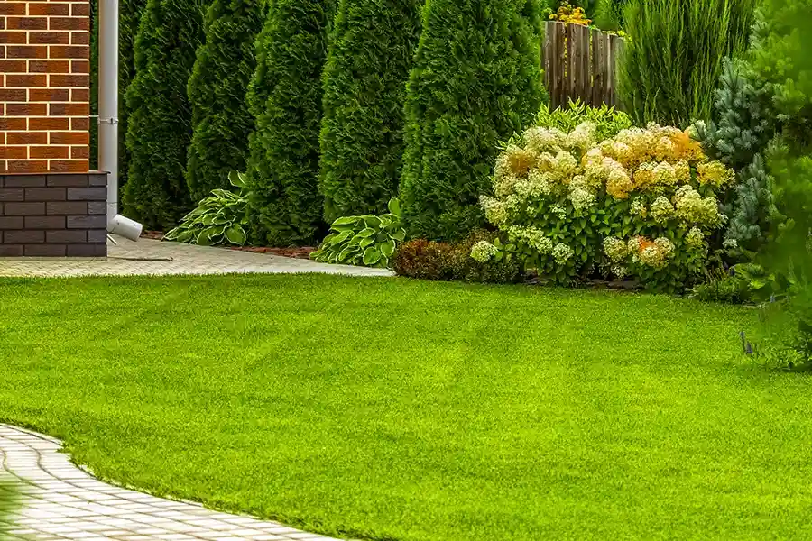 Expert Lawn Care Service Windsor, VA Expert Lawn Care Service Windsor, VA