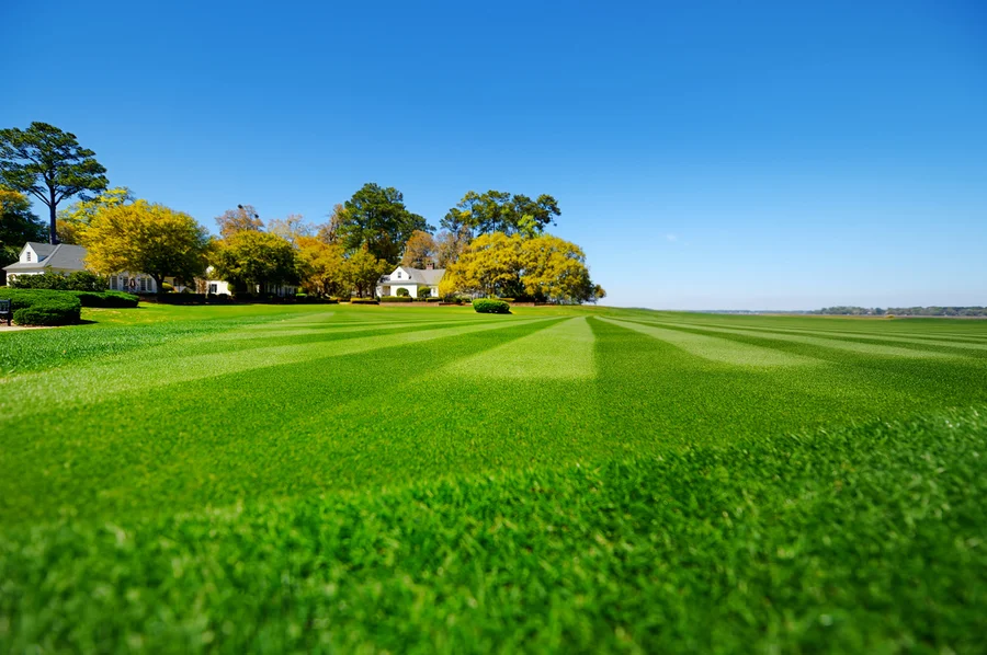 How Lawn Care Services Enhance Property Aesthetic And Value in Windsor, VA How Lawn Care Services Enhance Property Aesthetic And Value in Windsor, VA