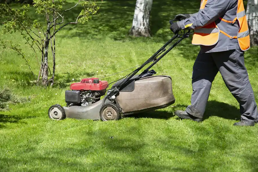Lawn Maintenance