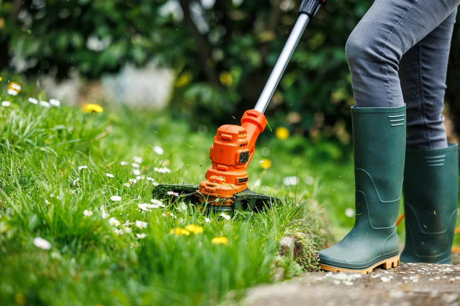 Top-rated Lawn Care Service Windsor, VA Top-rated Lawn Care Service Windsor, VA